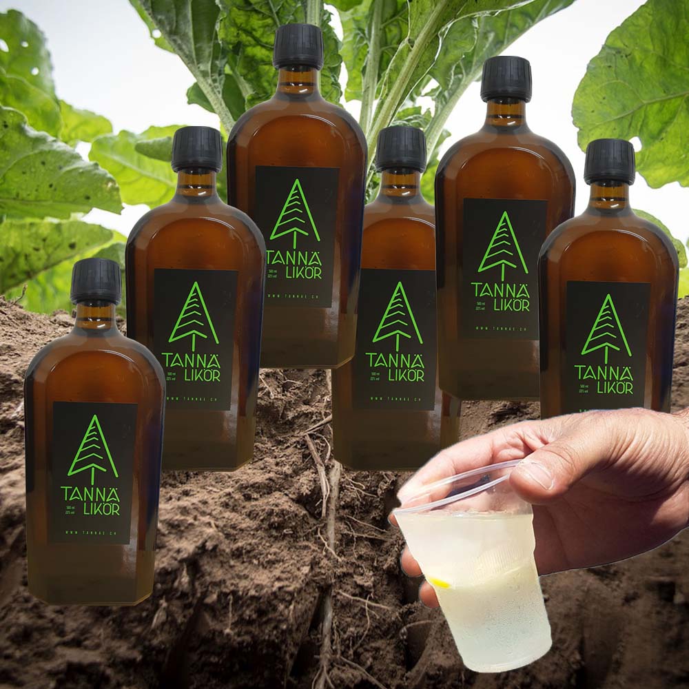 Vom Feld ins Glas, Getränke, Food, Food Deluxe, Fine Food, Accessoires, Zuckerrüben, Zuckerrübenschnaps, Schnaps, Cocktail, Rum, Swissmade, Geschenk, Geschenkidee, Geschenkbox, Röm, Röm el Primero «puur», Röm el Primero «fiin», Röm el Primero, Fass, Fässli, Box, Röm-Box, Röm-Fässli, klaar, bruun, Neutrum, Tanne, Tannä, Bouquet, Rum Cola, Skipiste